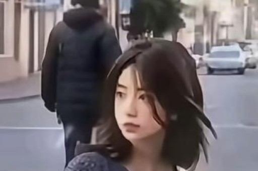 月季绽芳华 文脉润宛城——解锁南阳文旅缘何出圈